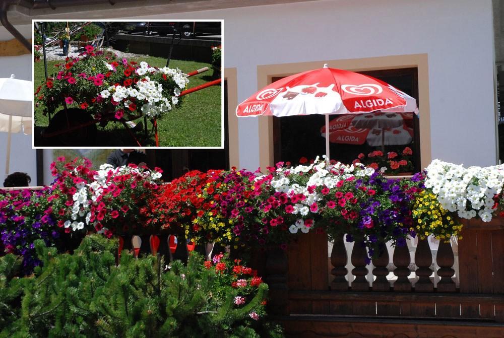 Hotel Posta Aprica Ngoại thất bức ảnh